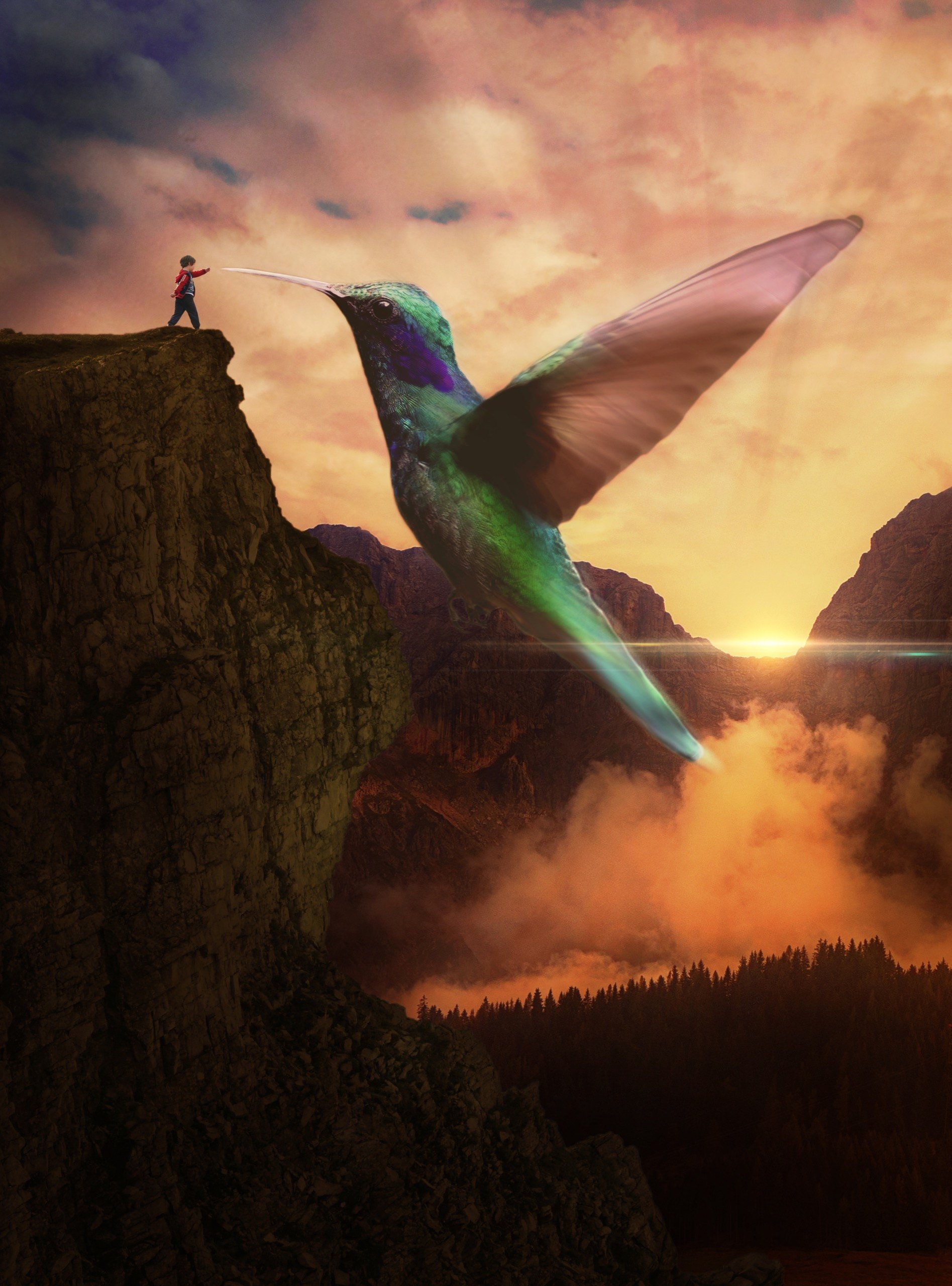 Passion Projects — Light in Motion Films