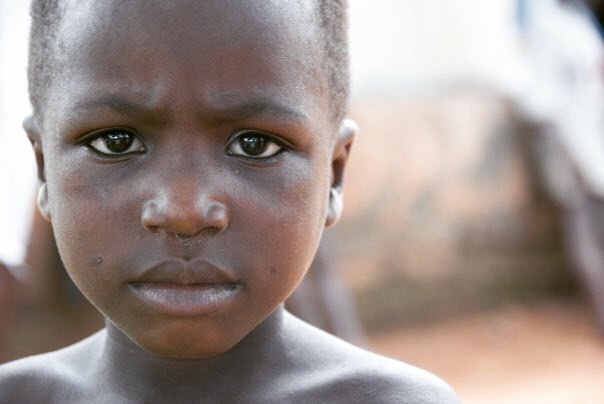 Global — Light in Motion Films