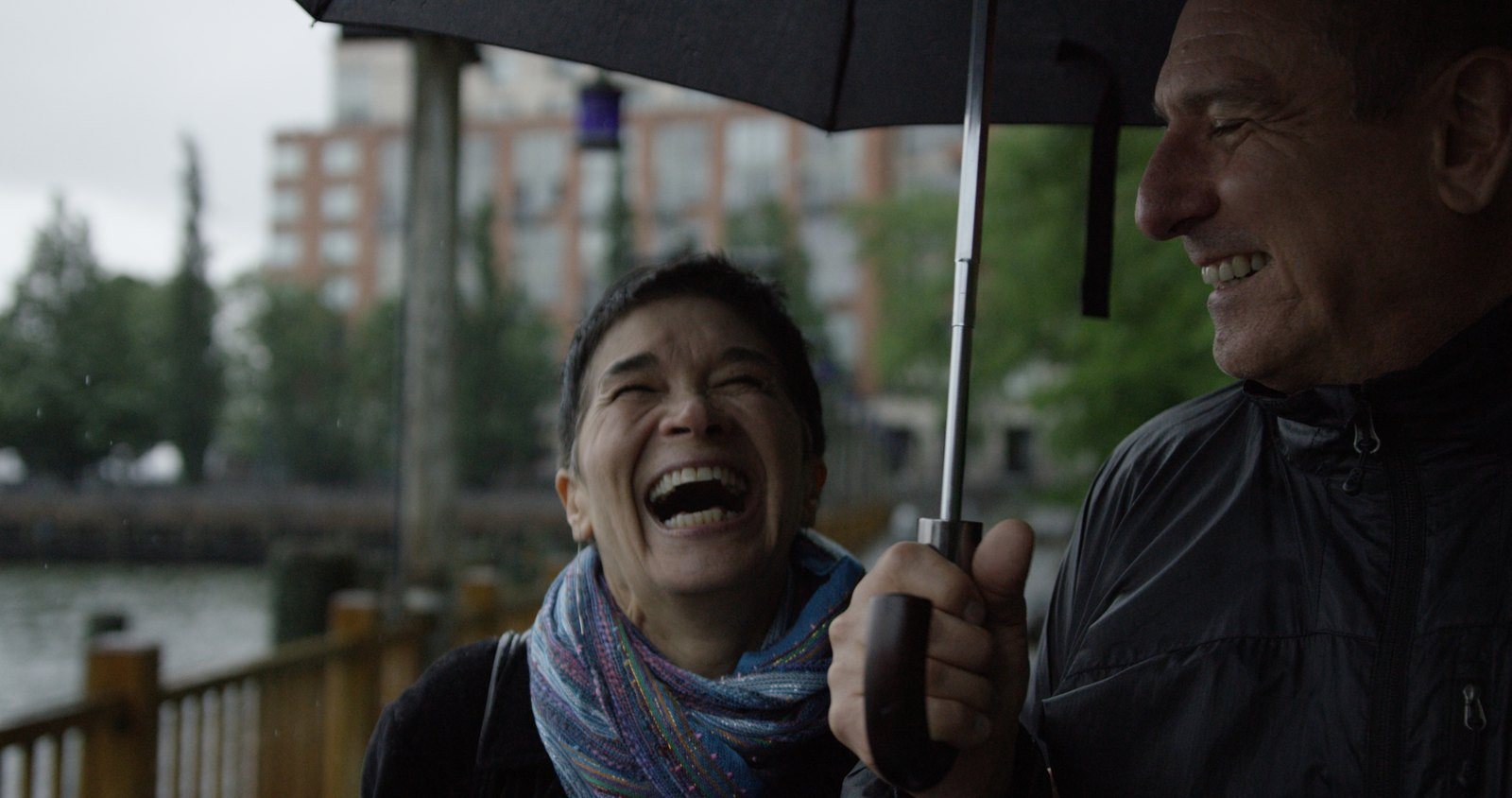 Real Life — Light in Motion Films