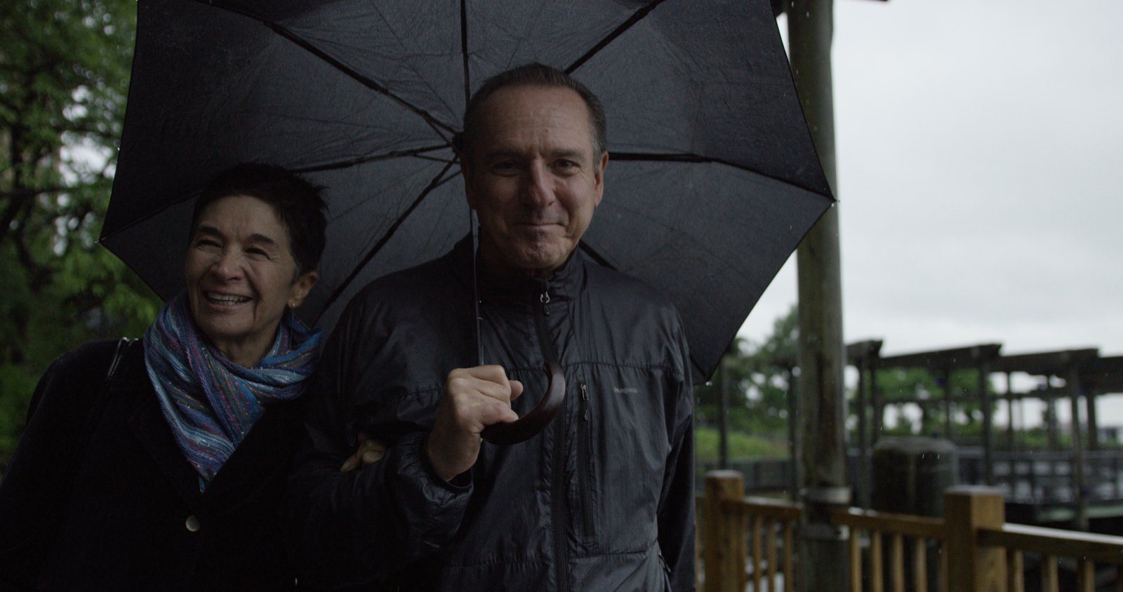 Real Life — Light in Motion Films